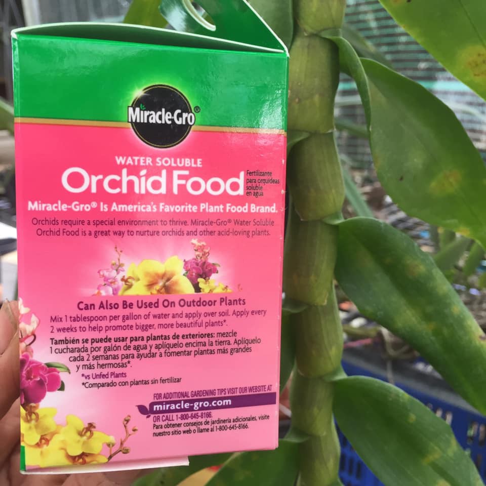 Miracle-Gro Water Soluble Orchid Food, 8 oz (226g)