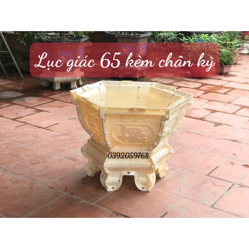 Khuôn chậu lục giác 65
