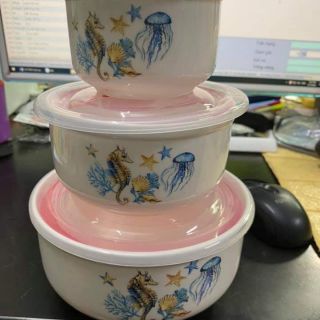 Bộ 3 bát sứ có nắp hút chân không hoa văn đẹp