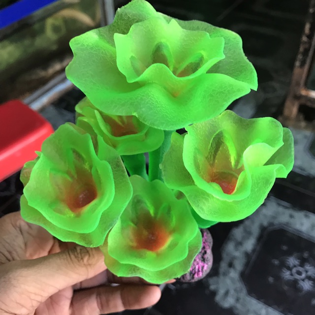 RONG DẠ QUANG TRANG TRÍ HỒ CÁ NON BỘ CAO 15CM