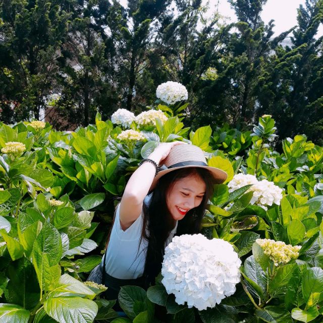 nguyenquynhquynh.tk