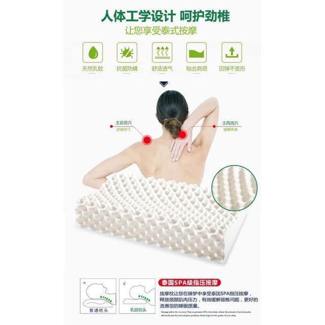 [XẢ KHO+FREE SHIP]  GỐI CAO SU NON THIÊN NHIÊN THÁI HÃNG VENTRY SIÊU BỀN HÀNG CAO CẤP (Gia dụng tiện ích 1102)