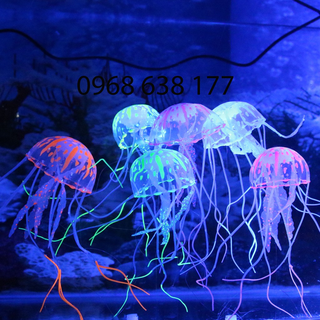 Đồ chơi Sứa Bay nhiều màu sắc Trang Trí Hồ Cá - Phụ kiện hồ cá hồ thủy sinh