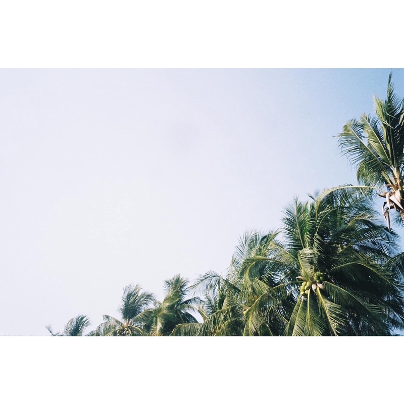 Máy ảnh film pextax 115M