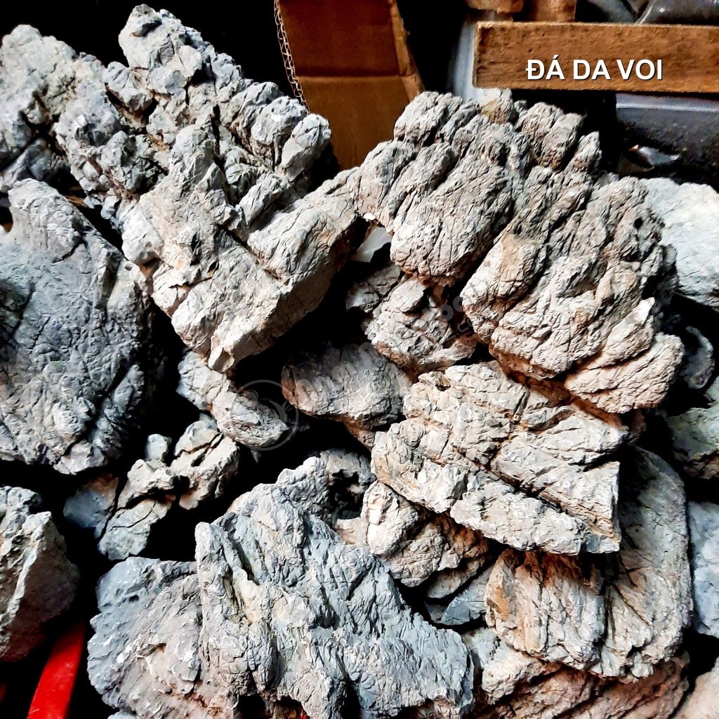 ĐÁ DA VOI THỦY SINH - GIÁ 1KG