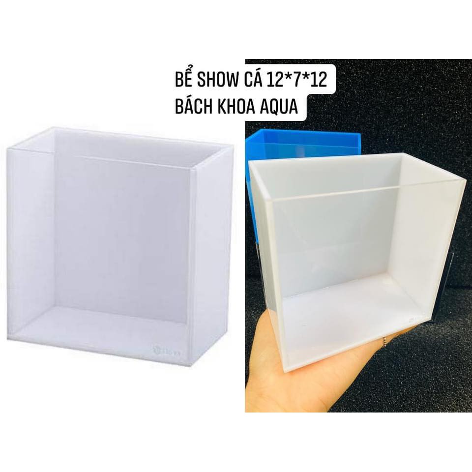 Bể Show cá chất liệu Acrylic size mini