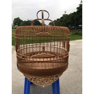Lồng cu gáy đục rồng