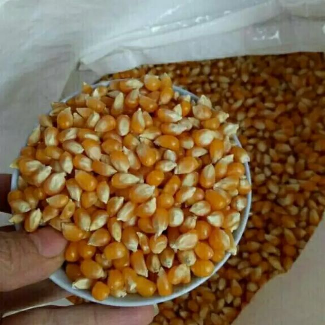 Sét ngô làm pắp rang bơ - loại 1