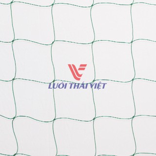 Lưới giàn dây leo bầu bí_ Lưới Thái Việt (nhiều kích cỡ)