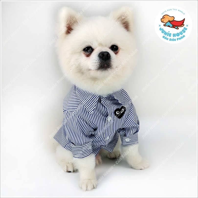 Áo sơ mi sọc thêu trái tim sang trọng cho chó mèo