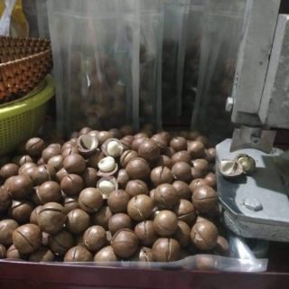 Com bo sỉ Măc ca