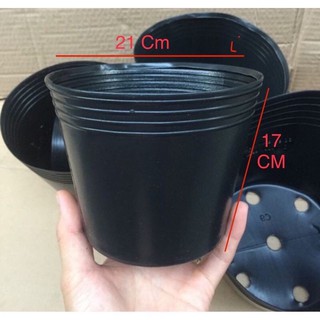 Chậu nhựa đen bầu đất trồng cây 21x17 C10 trồng - ươm cây Loại Dày- Dẻo-Bền
