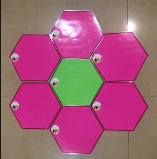 Bộ tổ ong 🐝 - Đồ dùng dạy học Ruby