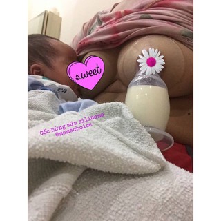 Cốc Hứng Sữa Mama's Choice