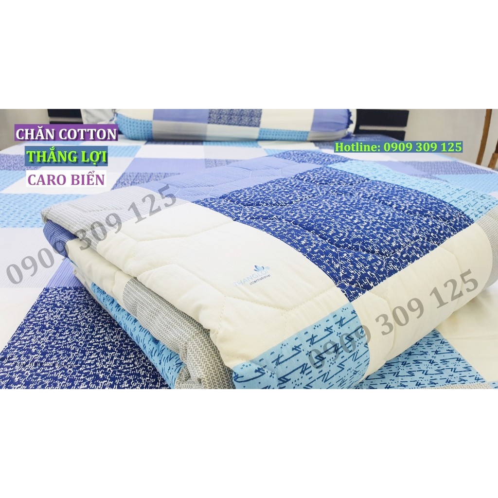bộ drap cotton Thắng lợi chính hãng (4 món) chuẩn LOGO mẫu CARO BIỂN