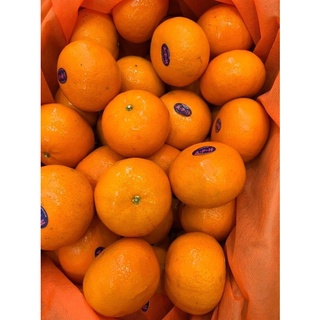 Quýt mật A.P.H Úc (1kg)