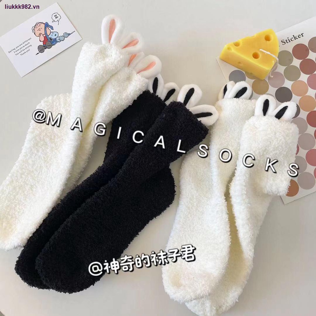 Đôi tất chân dày giữ ấm thời trang cho nữ