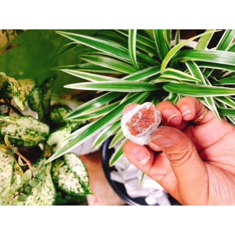 13k 100gr Kẹo Gừng Dẻo Nguyên Phấn