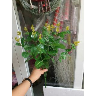 CDCLT16- Cành Lá táo 16 nhánh loại đẹp