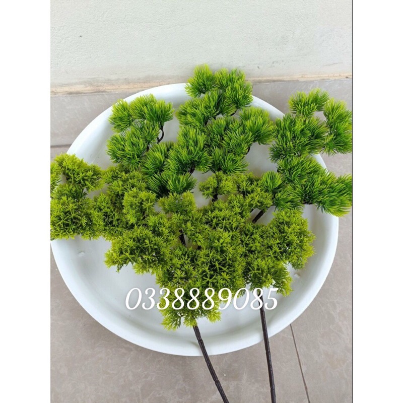 (ẢNH THẬT) Cành tùng, cành thông giả làm cây - trang trí tiểu cảnh - cây hoa giả, hàng sẵn kho