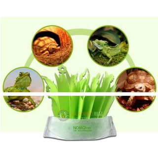 Cỏ tạo ẩm cho rùa, bò sát