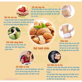 Hộp Mixed Nuts 6 Loại Hạt - 500g (Hạnh Nhân, Hạt Thông, Macca, Óc Chó, Úc, Hạt Dẻ Cười, Hồ Đào)