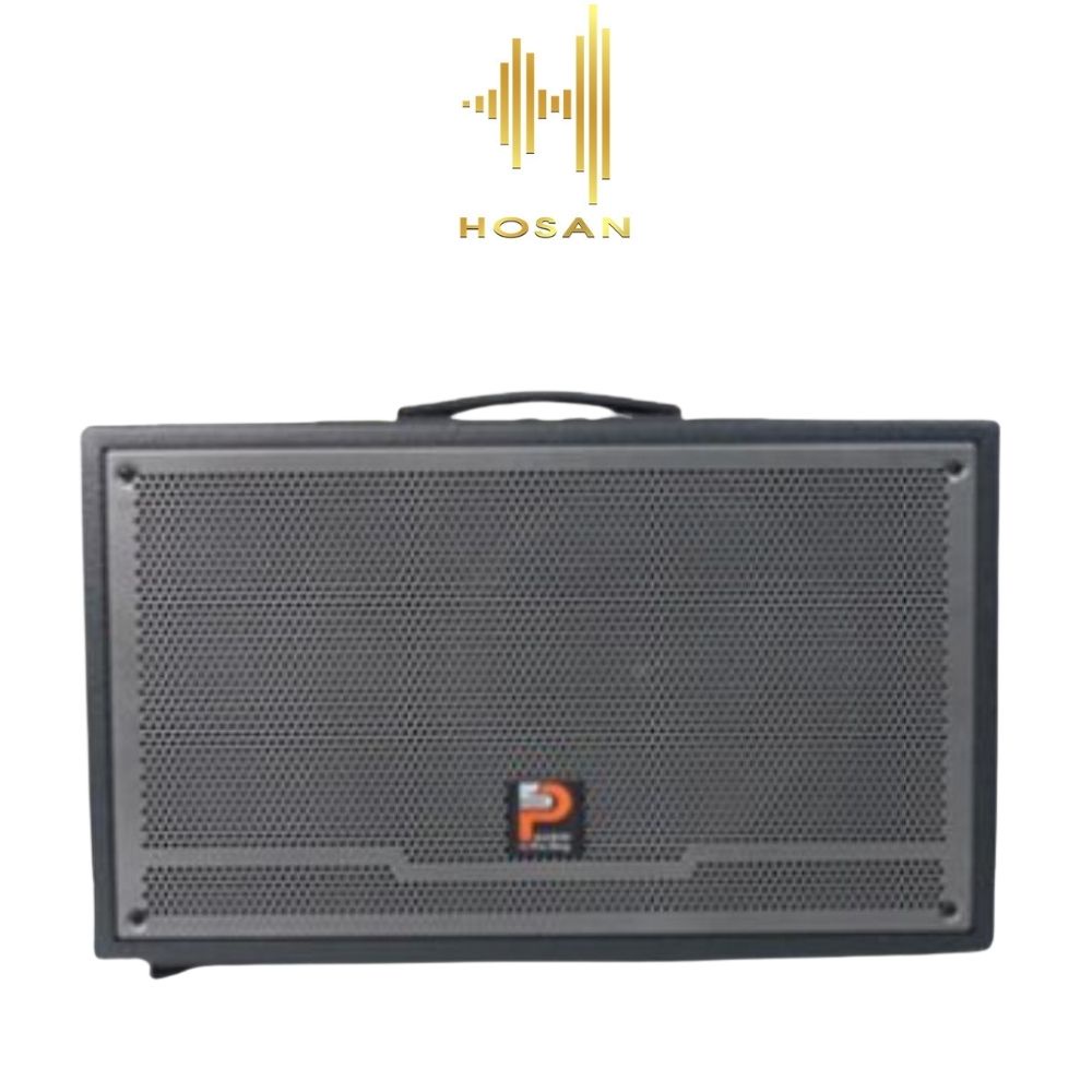 Loa kéo hát karaoke HOSAN Prosing W-Silver E thùng gỗ cao cấp công suất 100w