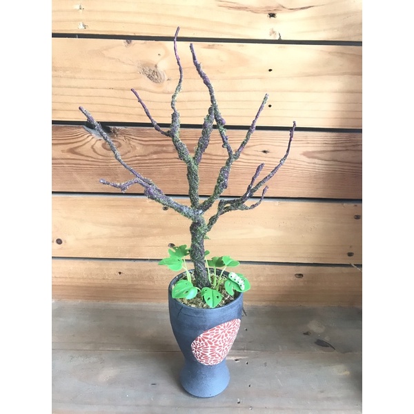 THÂN CÂY HOA GIẢ CAO 30CM