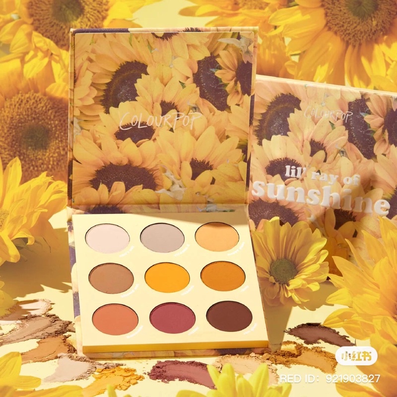 Bảng mắt COLOURPOP- Lil ray of sunshine