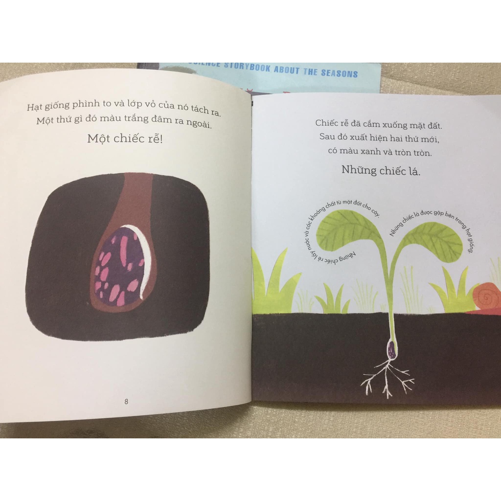 Sách - Câu chuyện Khoa học - Sâu Bướm và Hạt Đậu - A Science Storybook About Growing