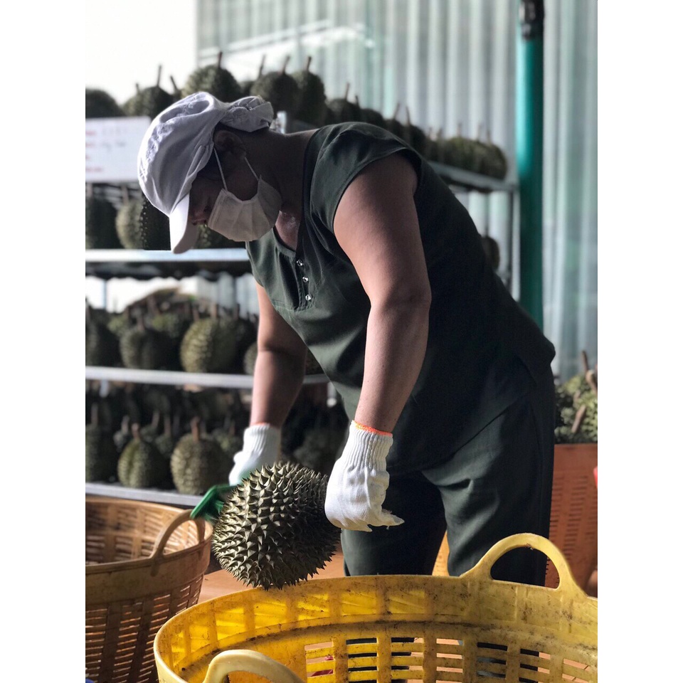 HÀ NỌI Sầu riêng cấp đông tách hạt nguyên chất🚀FREE SHIP🚀thơm ngon, dễ sử dụng