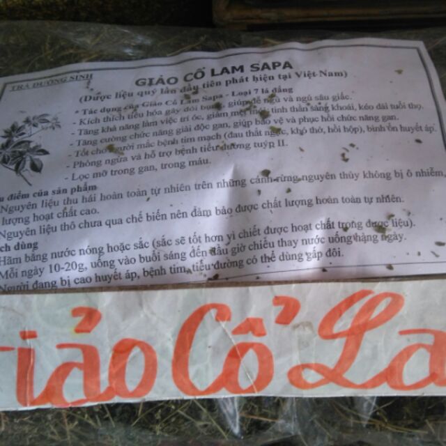 Giảo cổ lam sa pa