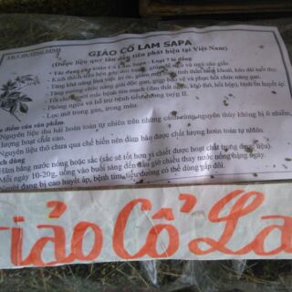 Giảo cổ lam sa pa