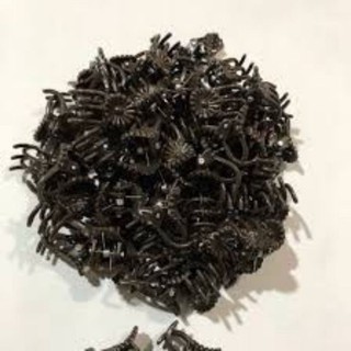 Kẹp bướm nhỏ cố định hoa lan gói 50 chiếc