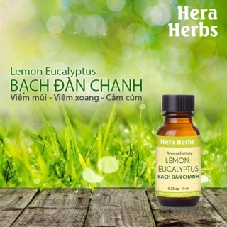 Tinh dầu bạch đàn chanh trị các bệnh hô hấp