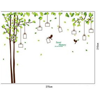 Decal dán tường Cây khung ảnh to nhất - vườn cây kỷ niệm