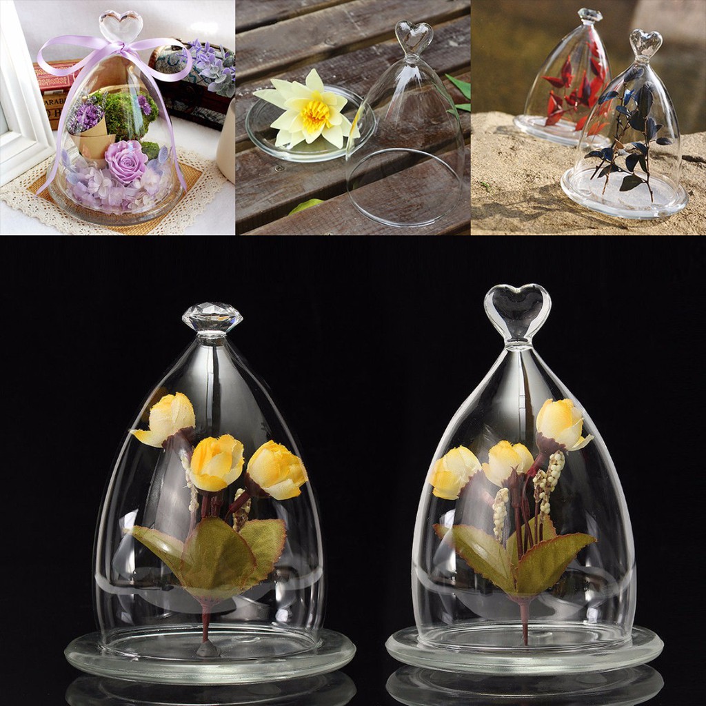 Lọ Kính Trồng Cây Có Đế Tròn