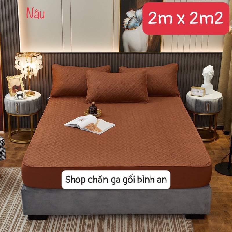 Ga chống thấm chun trần nhập khẩu 100% Cotton mẫu mới nhất , chống thấm tuyệt đối chất liệu cotton siêu êm , siêu tháng