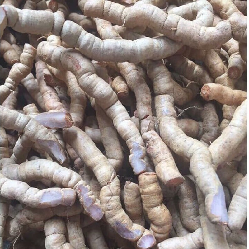 ĐẶC SẢN | Ba Kích | Ba Kích Tím | Gói 500gram | Hàng Mới | BigBuy360 - bigbuy360.vn