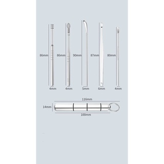 [Hàng Chuẩn] Set 6 Dụng Cụ Lấy Rấy Tai (Tuýp Nhôm Bạc)