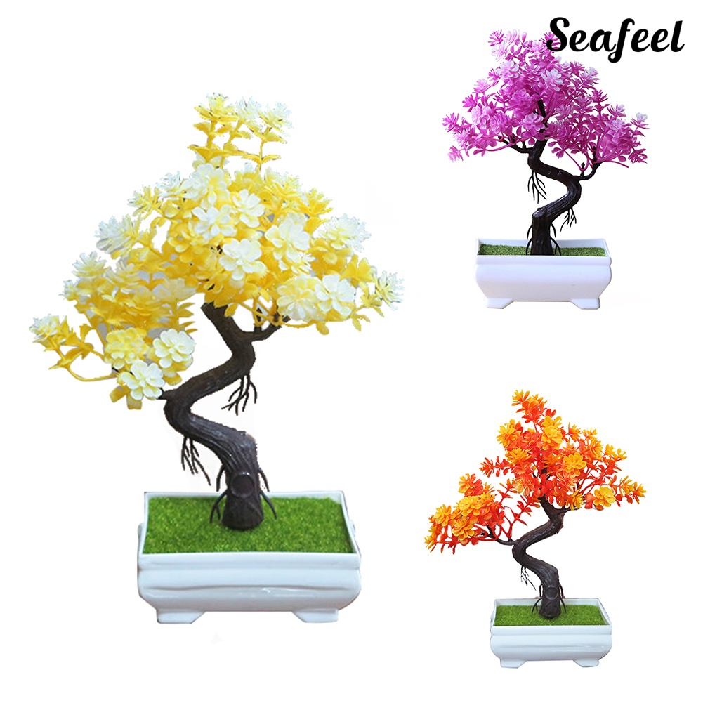 Chậu Cây Bonsai Giả Trang Trí Bàn