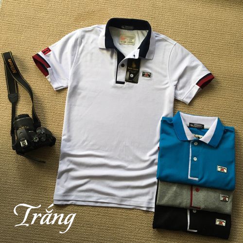 ÁO THUN NAM CỔ TRÒN PL COTTON | BigBuy360 - bigbuy360.vn