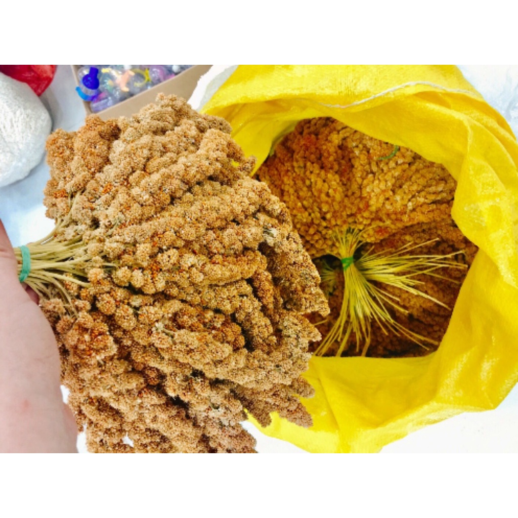 100 g Kê chùm dành cho hamster, sóc, thỏ