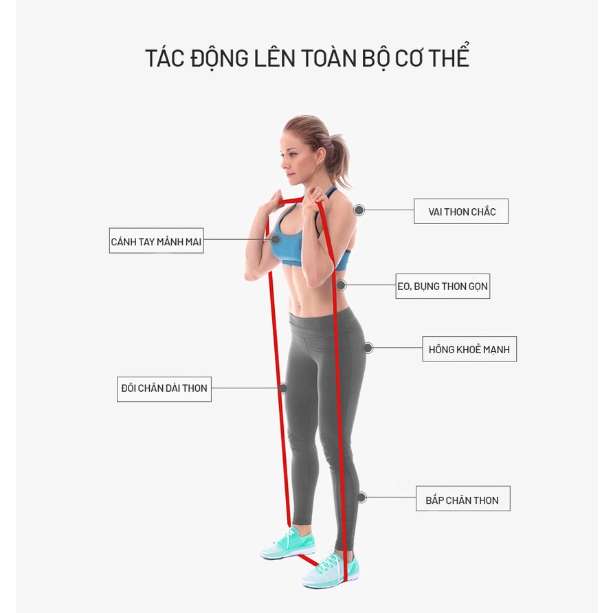 Dây Kháng Lực Tập Gym Đàn Hồi Tập Mông Nâng Đùi Huấn Luyện Thể Dục Thể Thao TPE