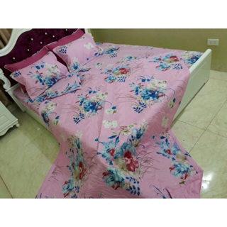 Chăn ga gối poly 1,6m
