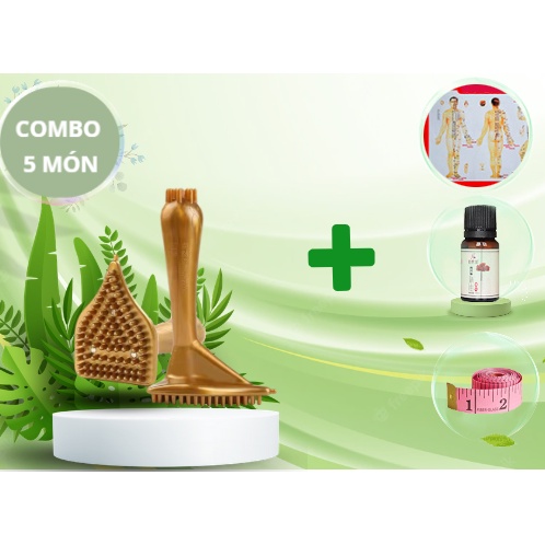 Bàn chải kinh lạc dưỡng sinh, bàn chải thông kinh lạc massa body tặng kèm tinh dầu, thước đo, bản đồ kinh lạc