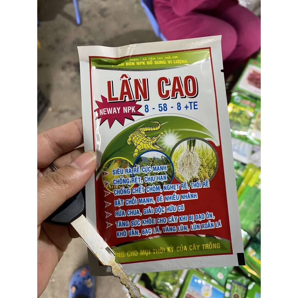 Phân bón lân cao siêu dưỡng dùng cho hoa hồng,các loại hoa gói 20gr