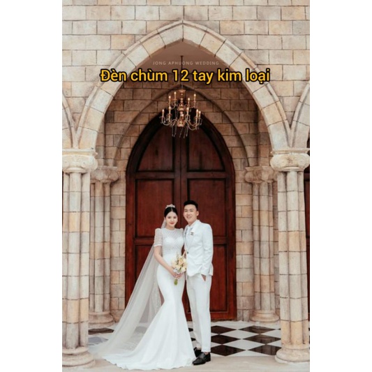 Đèn chùm treo trần, Đèn chùm LED Thả Trần Trang Trí không gian đẹp 8 tay 12 tay