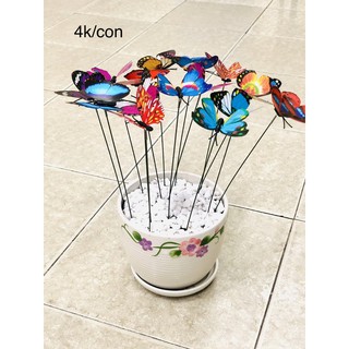 Bướm trang trí tiểu cảnh 1 con