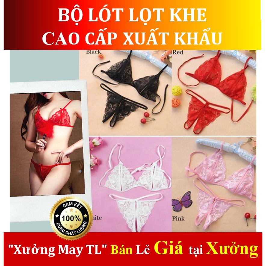 Đồ lót 2 mảnh ren xuyên thấu lọt khe siêu gợi cảm Nhật Bản sexy - CL001